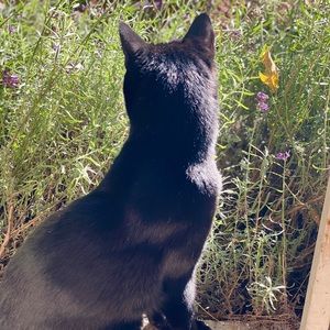 Meet your Posher, Debbie